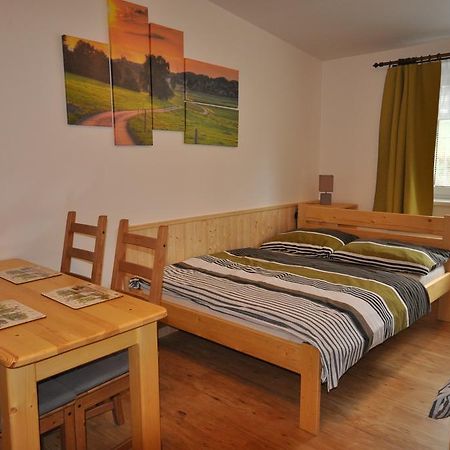 ליפנו נאד וויטאבו Studio Apartments Lipno 22, 24 חדר תמונה