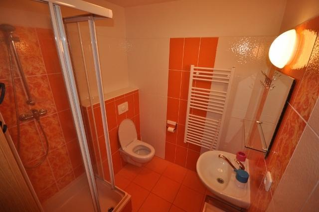 ליפנו נאד וויטאבו Studio Apartments Lipno 22, 24 חדר תמונה