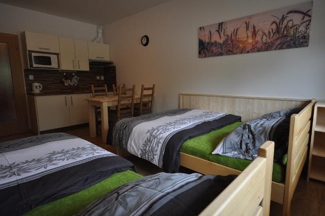 ליפנו נאד וויטאבו Studio Apartments Lipno 22, 24 חדר תמונה