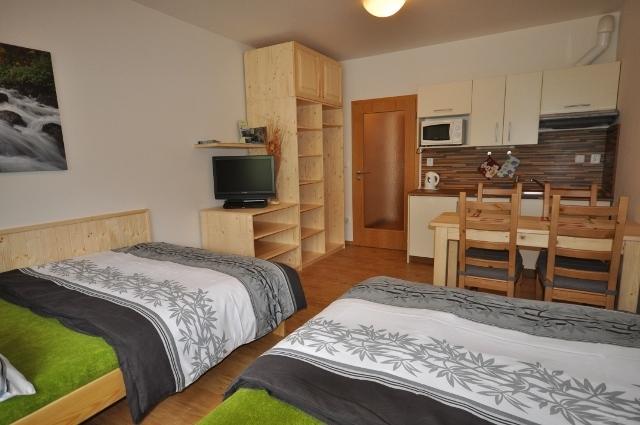 ליפנו נאד וויטאבו Studio Apartments Lipno 22, 24 חדר תמונה