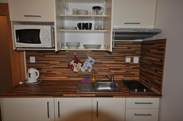 ליפנו נאד וויטאבו Studio Apartments Lipno 22, 24 חדר תמונה