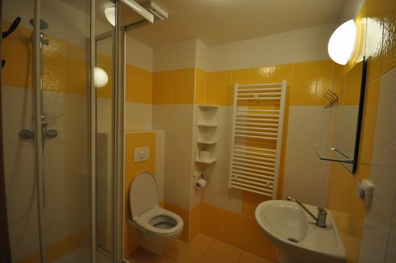 ליפנו נאד וויטאבו Studio Apartments Lipno 22, 24 חדר תמונה