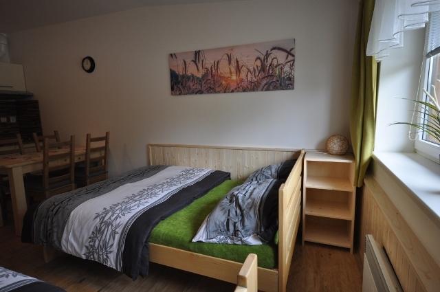 ליפנו נאד וויטאבו Studio Apartments Lipno 22, 24 חדר תמונה