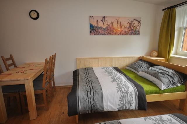 ליפנו נאד וויטאבו Studio Apartments Lipno 22, 24 חדר תמונה
