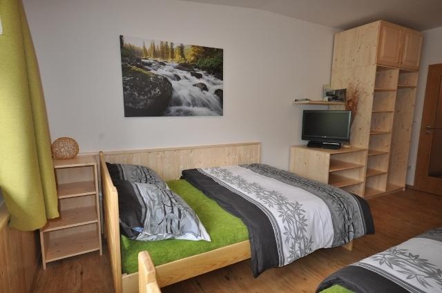 ליפנו נאד וויטאבו Studio Apartments Lipno 22, 24 חדר תמונה