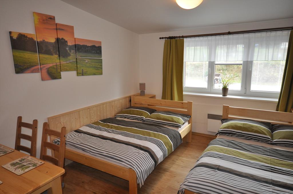 ליפנו נאד וויטאבו Studio Apartments Lipno 22, 24 חדר תמונה