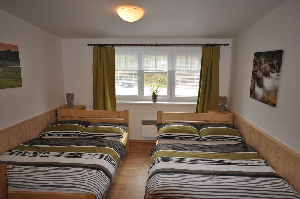 ליפנו נאד וויטאבו Studio Apartments Lipno 22, 24 חדר תמונה